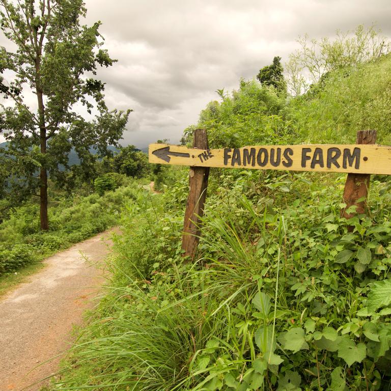 The Famous Farm